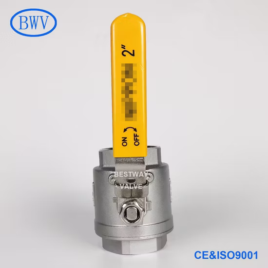 Valvola a sfera con filettatura flottante in acciaio inossidabile Pn63, confezione da 2