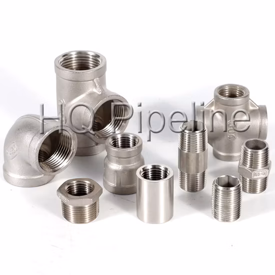 Raccordi per tubi maschio-femmina filettati/filettati/bullone dell'acciaio inossidabile Inox SS304/316 NPT/BSPT da 150 libbre